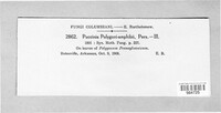 Image Associated With the Occurence